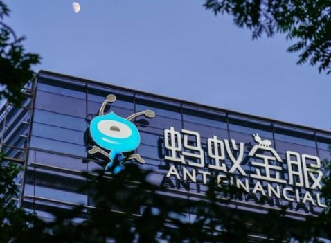 螞蟻競購速匯金，引發(fā)游說戰(zhàn)？-鋒巢網(wǎng)