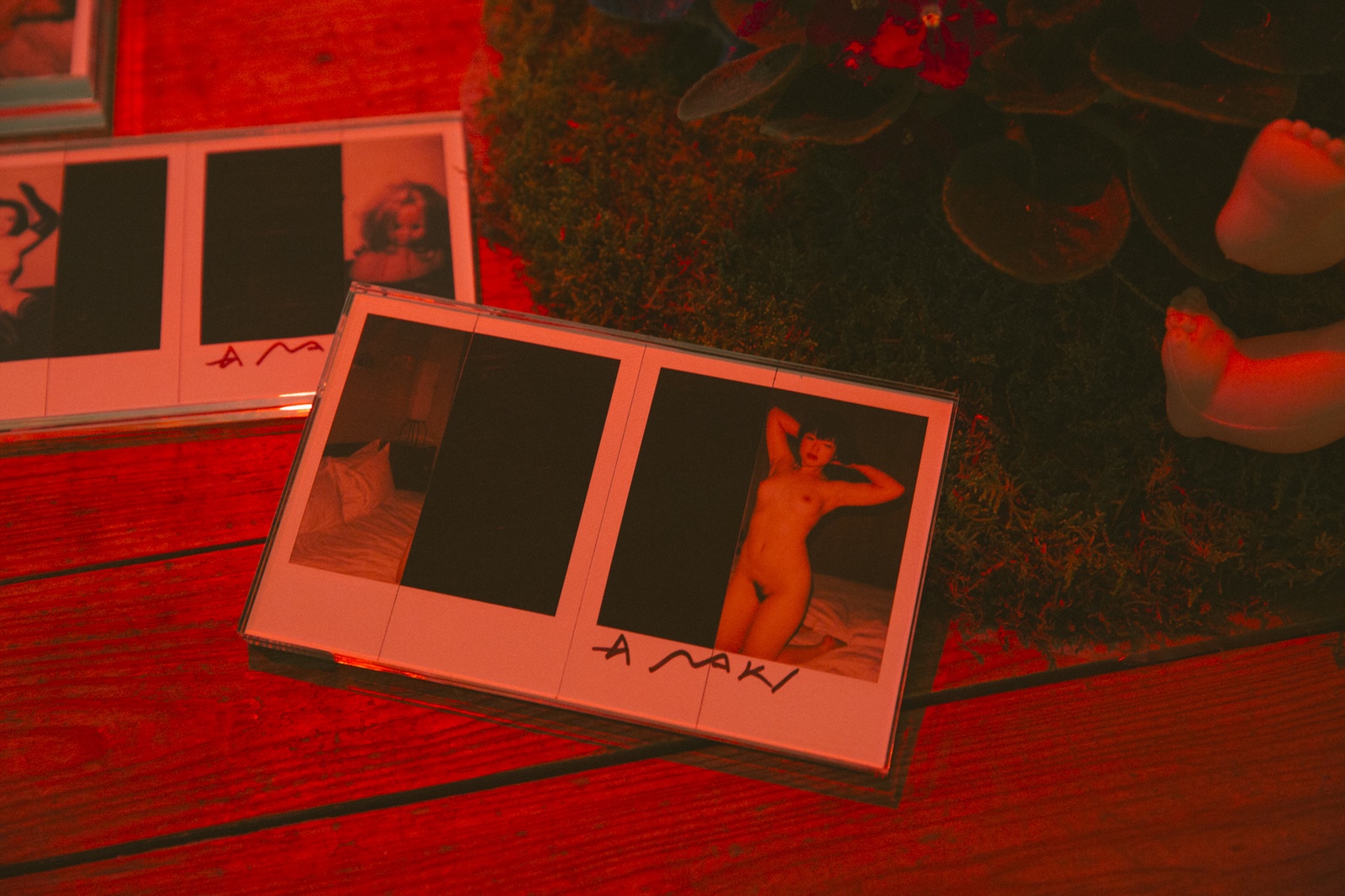 走進荒木經(jīng)惟，香港歷來最大型的攝影作品展-鋒巢網(wǎng)