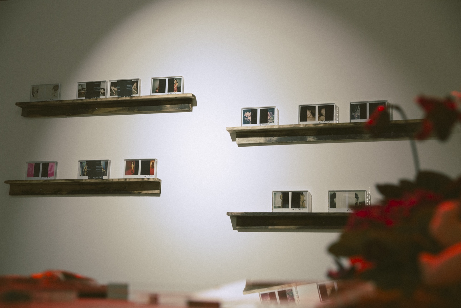 走進荒木經(jīng)惟，香港歷來最大型的攝影作品展-鋒巢網(wǎng)