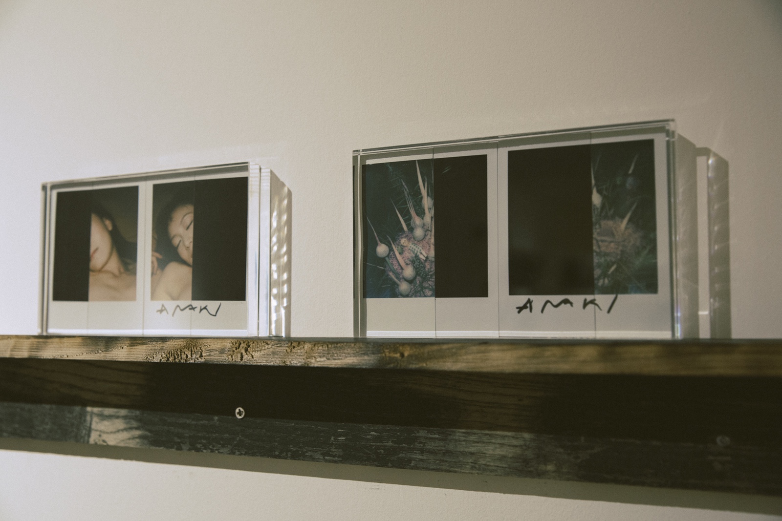 走進荒木經(jīng)惟，香港歷來最大型的攝影作品展-鋒巢網(wǎng)