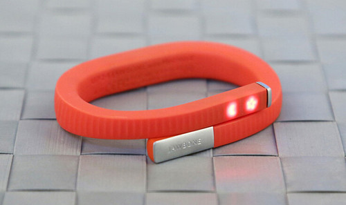 智能手環(huán)巨頭倒下 智能穿戴寒冬已至？-鋒巢網(wǎng)