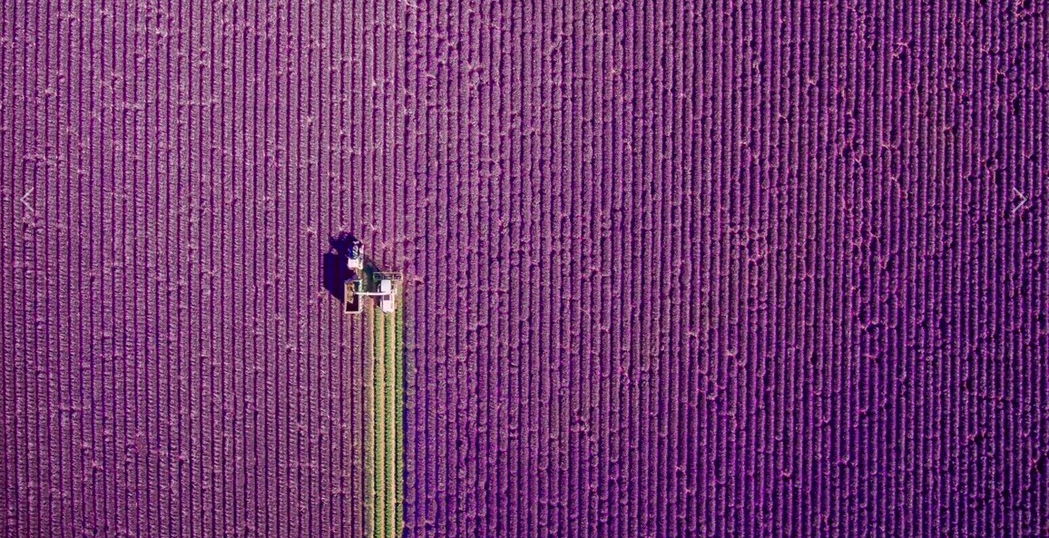 以上帝的視角：2017最佳無人機攝影大賽獲獎作品-鋒巢網(wǎng)