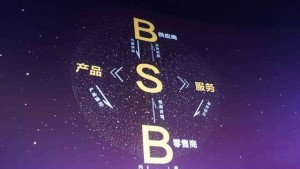 從B2B時(shí)代到S2B時(shí)代，決勝點(diǎn)在“供給物”上-鋒巢網(wǎng)