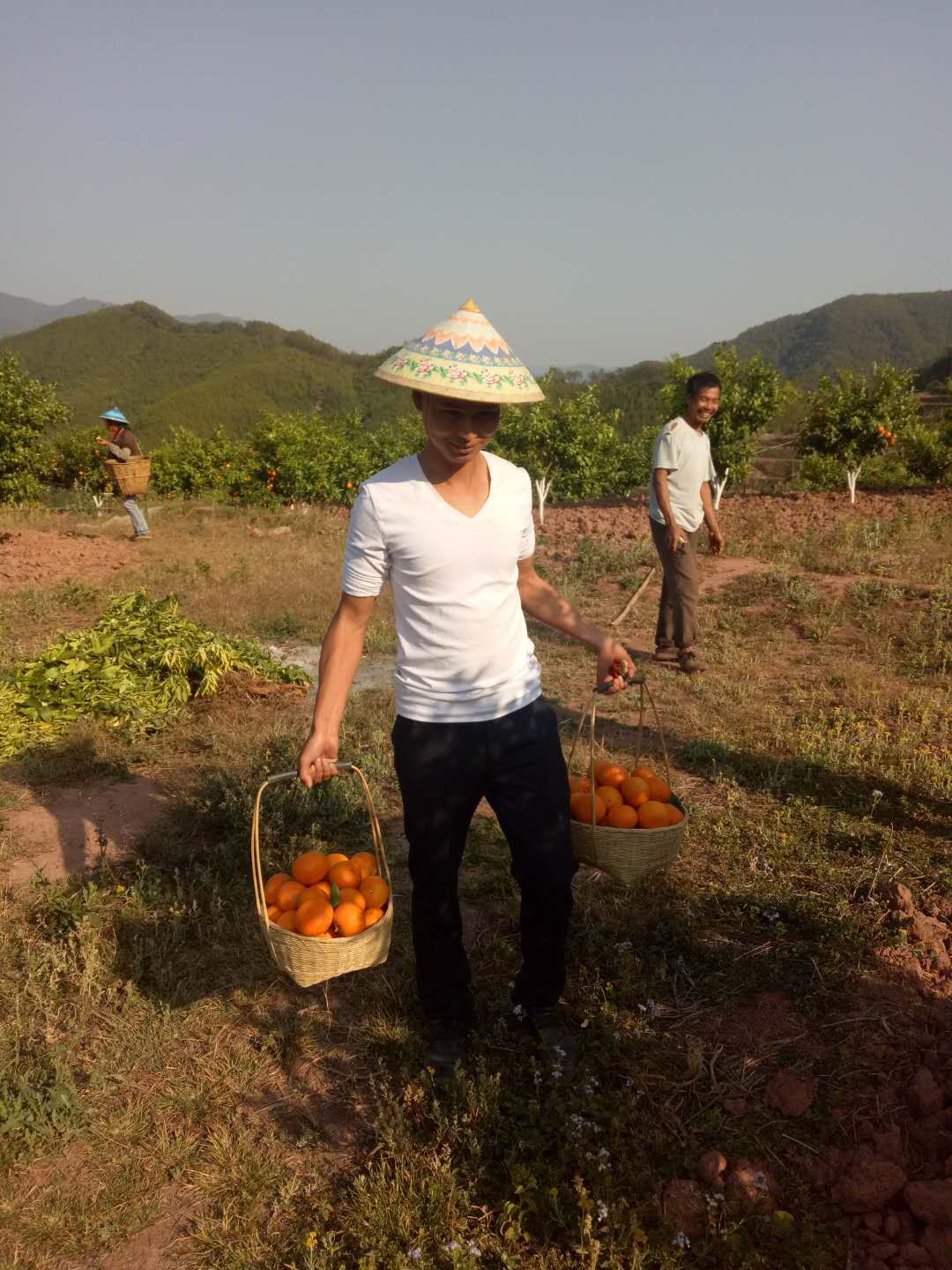 “哈尼郭富城”開(kāi)史上海拔最高蘇寧零售云門(mén)店，只因“多看你一眼-鋒巢網(wǎng)