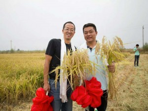 新零售時代，鮮稻屋如何脫穎而出？-鋒巢網(wǎng)