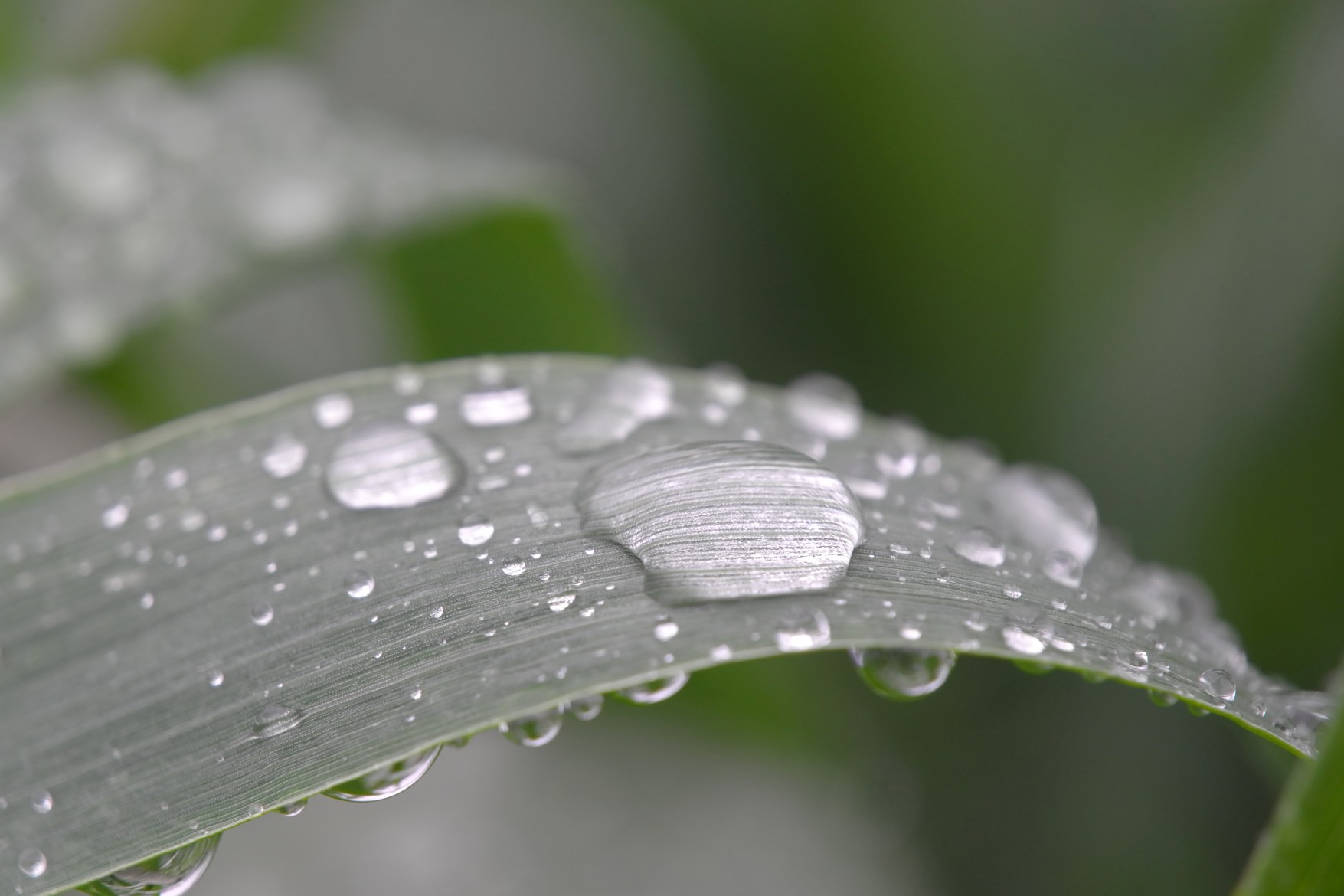 Leica 發(fā)布 Elpro 52 高品質(zhì)近攝鏡頭，工藝精湛，堪稱完美！-鋒巢網(wǎng)