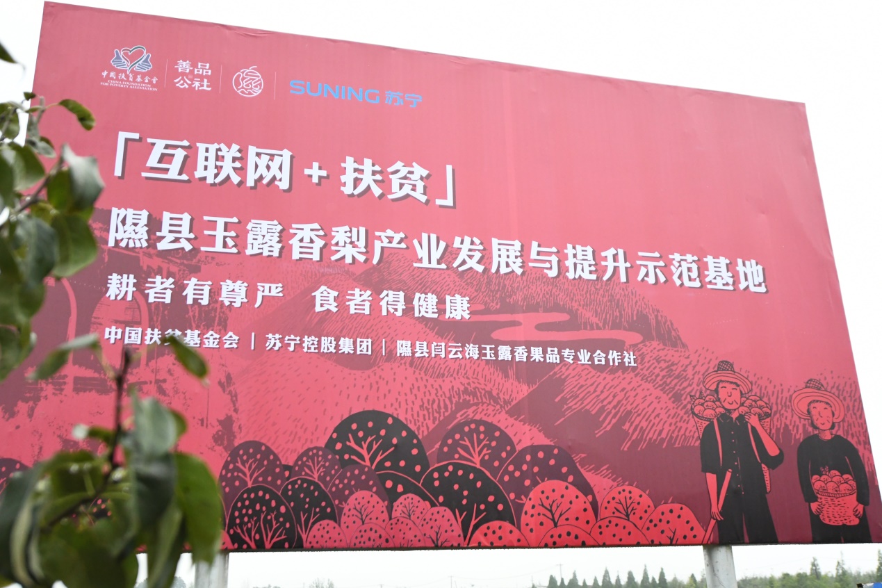 聚焦鄉(xiāng)村振興、聚力精準(zhǔn)扶貧：蘇寧“一二三四五”戰(zhàn)略構(gòu)建鄉(xiāng)村振興新模式-鋒巢網(wǎng)