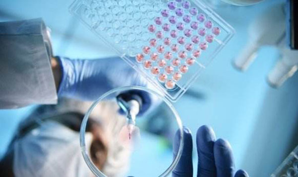 AI醫(yī)療將有效解決人口老齡化加劇帶來醫(yī)療資源不足的難題-鋒巢網(wǎng)