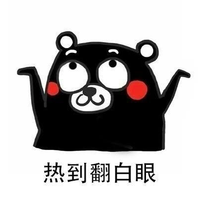 藏龍臥虎！迅雷鏈沙龍現(xiàn)場驚現(xiàn)眾多技術(shù)很牛的小姐姐-鋒巢網(wǎng)