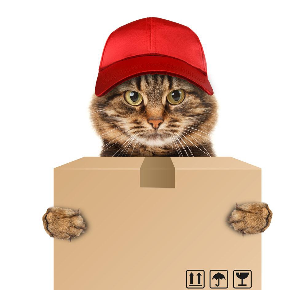 快遞保價(jià)只賠零頭，要你有何用-鋒巢網(wǎng)