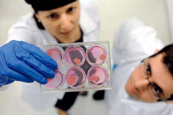 有望搶占肉類市場？人造肉電商平臺開售-鋒巢網(wǎng)