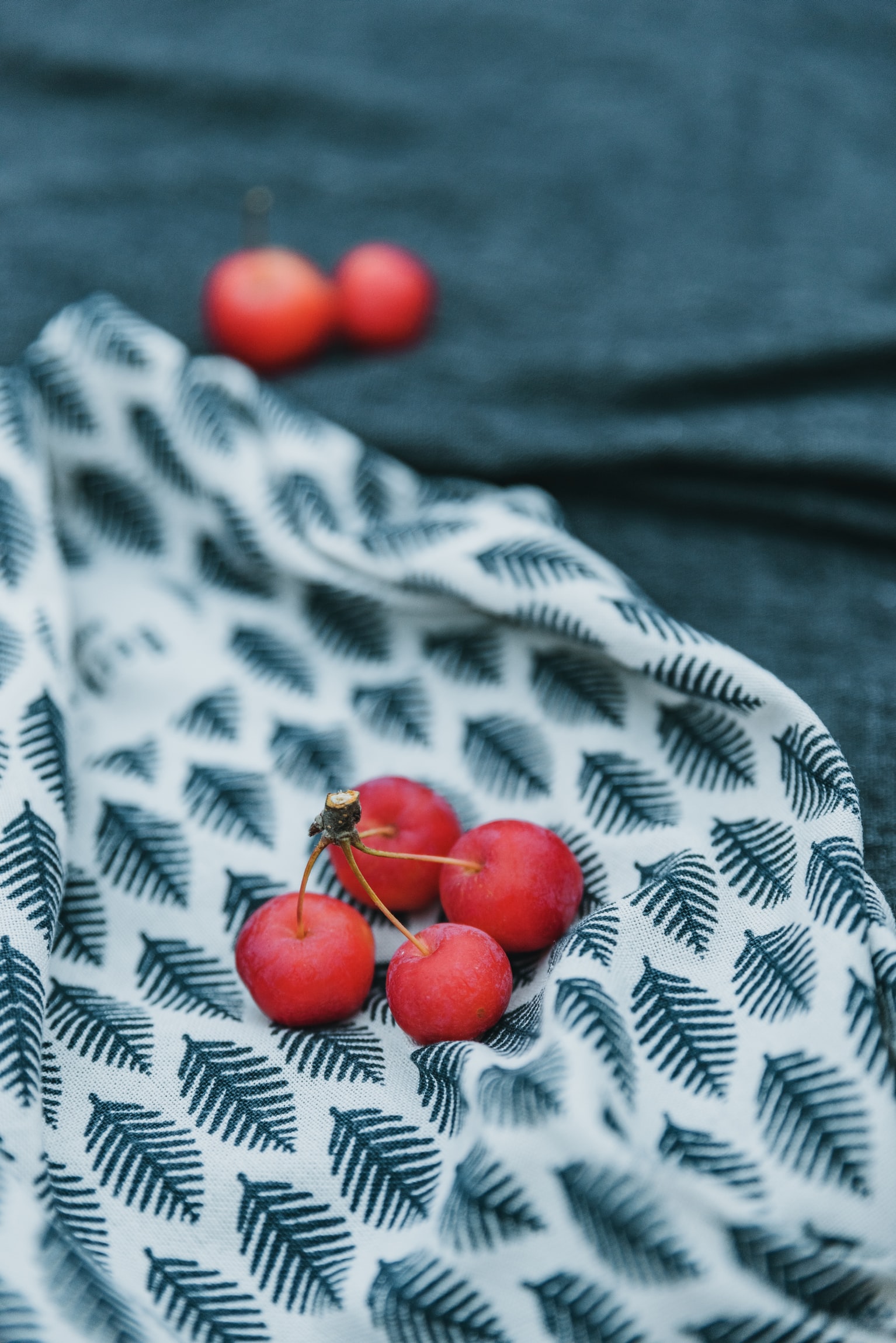 OPPO換馬甲清庫存遭vivo暗諷，手足相殘節(jié)奏真香-鋒巢網(wǎng)