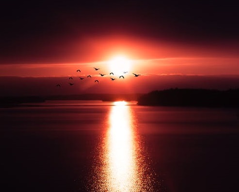 字節(jié)跳動的IP野心-鋒巢網(wǎng)