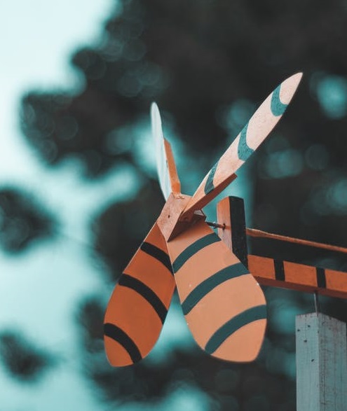 京東系組團(tuán)撈金-鋒巢網(wǎng)