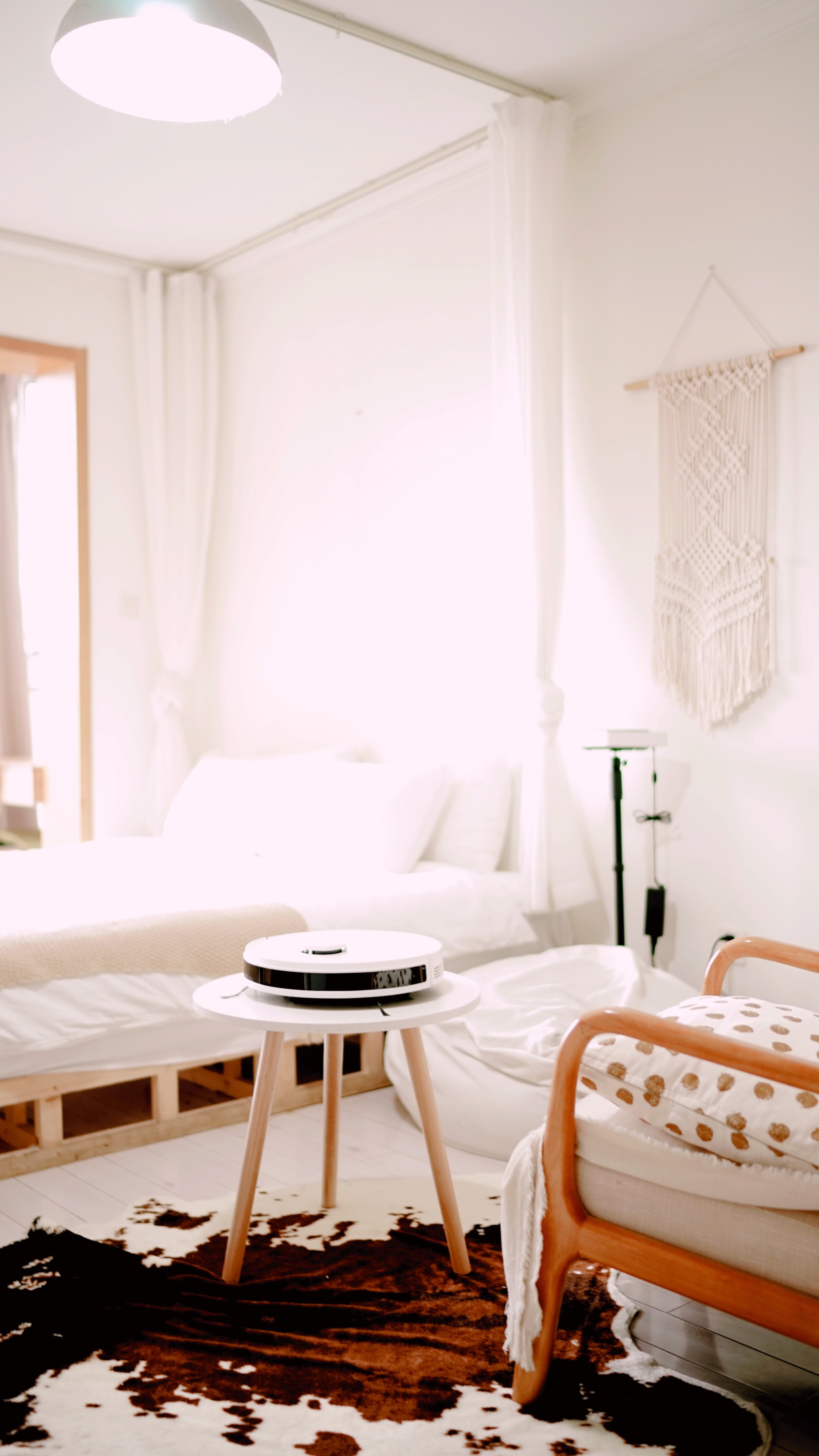 科沃斯地寶DEEBOT N8體驗(yàn)：有效清潔除菌，創(chuàng)新看得見-鋒巢網(wǎng)