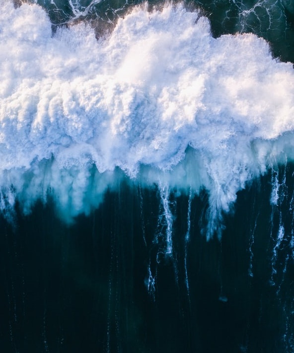 互聯(lián)網(wǎng)需要差評-鋒巢網(wǎng)