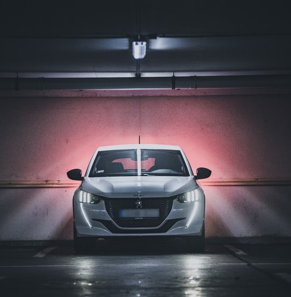 新造車穿越生死線-鋒巢網(wǎng)