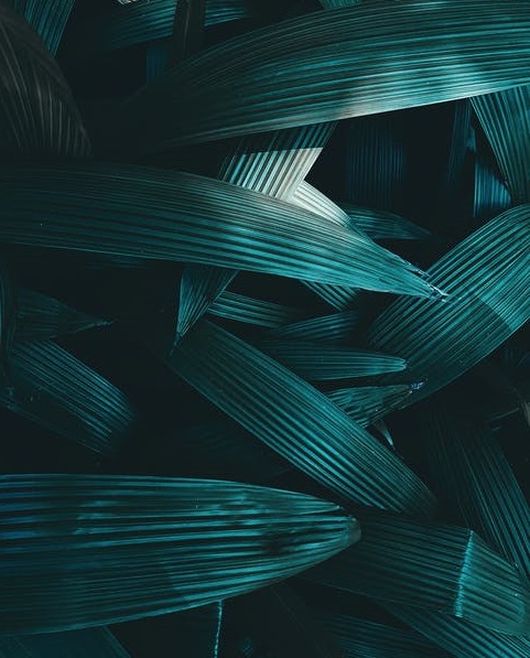 復(fù)盤互聯(lián)網(wǎng)出海2020-鋒巢網(wǎng)