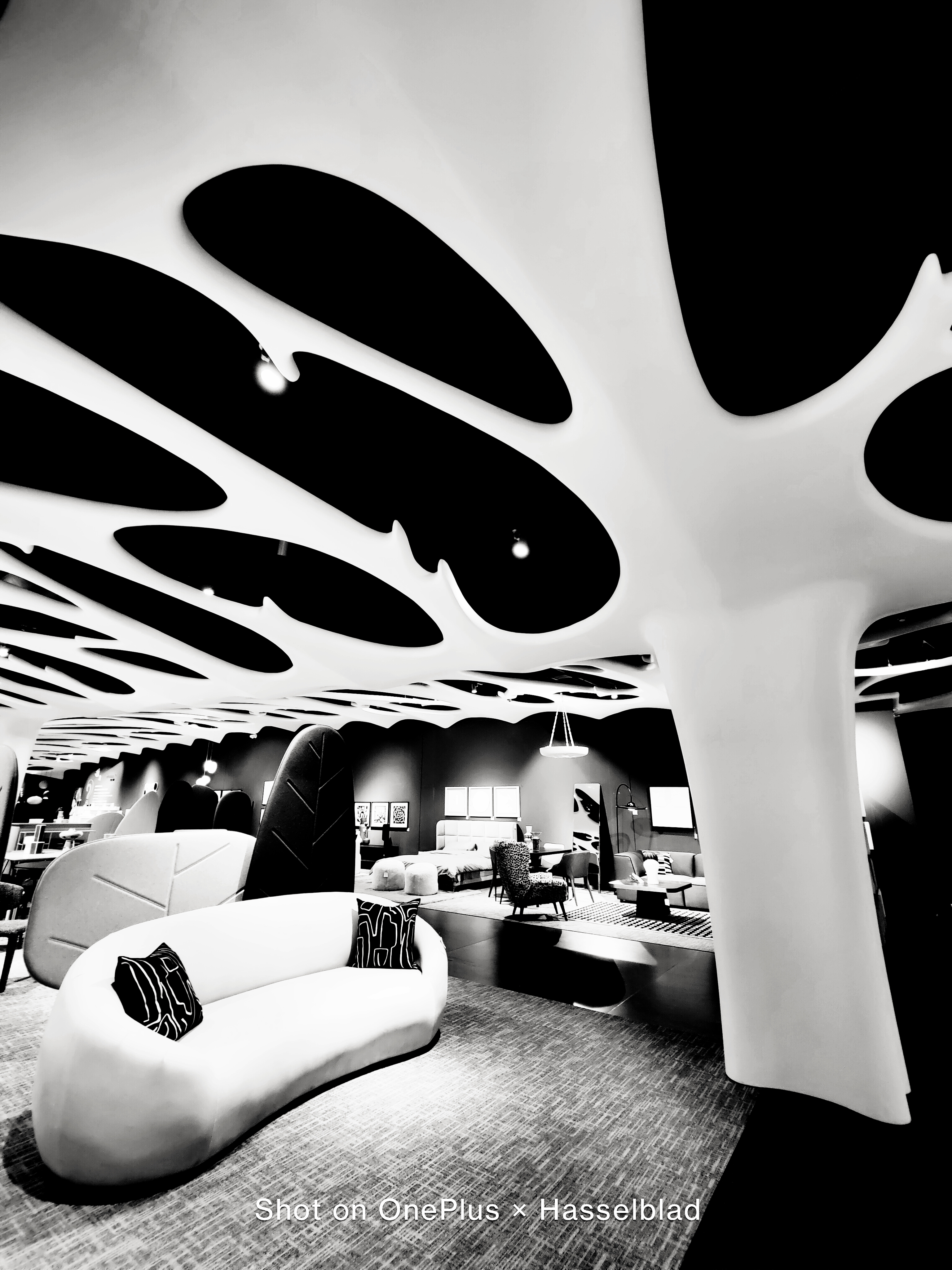 一加9 Pro超廣角體驗(yàn)：超頂?shù)挠跋裼矊?shí)力-鋒巢網(wǎng)