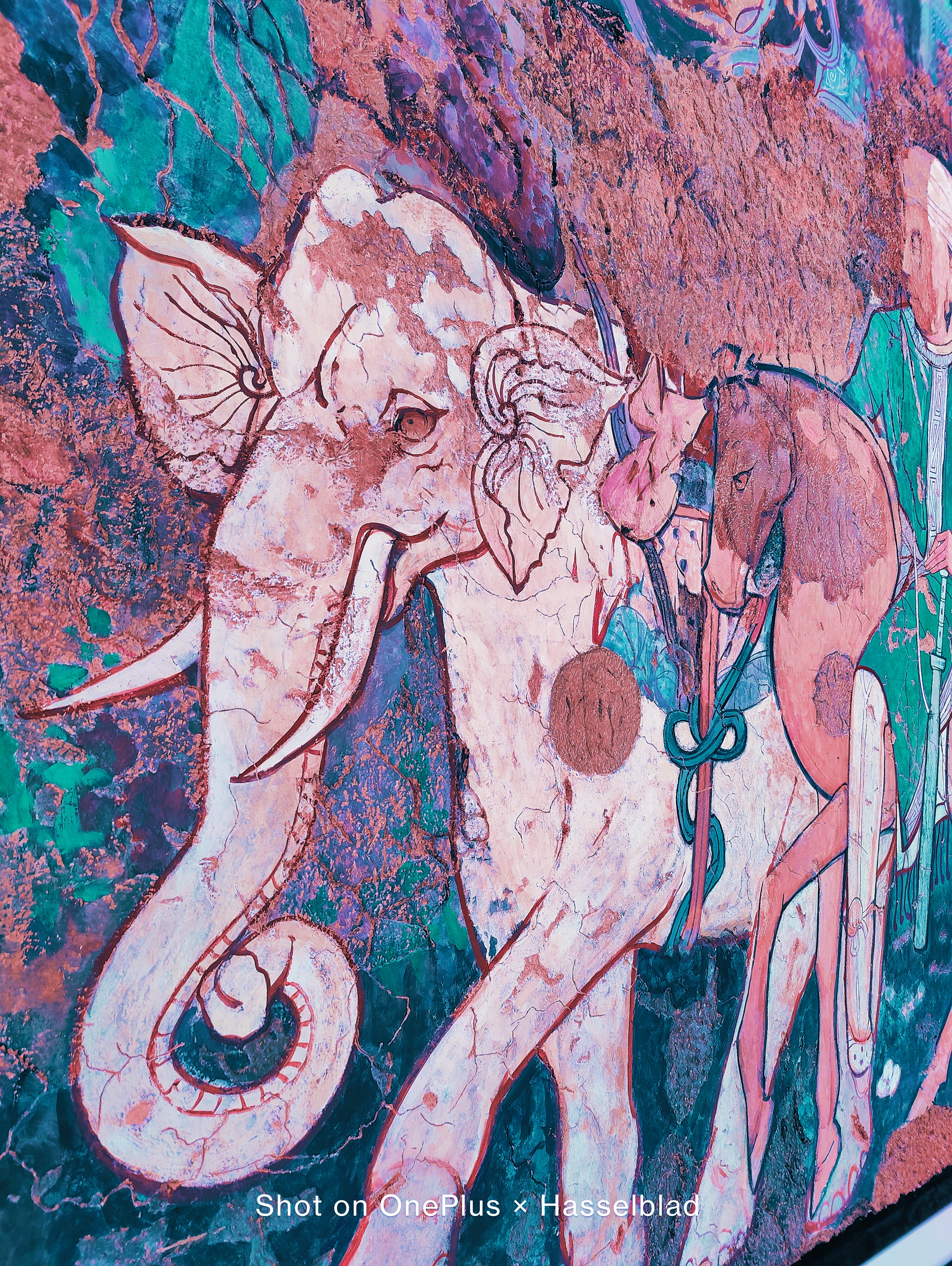 一加9 Pro超廣角體驗(yàn):超頂?shù)挠跋裼矊?shí)力-鋒巢網(wǎng)