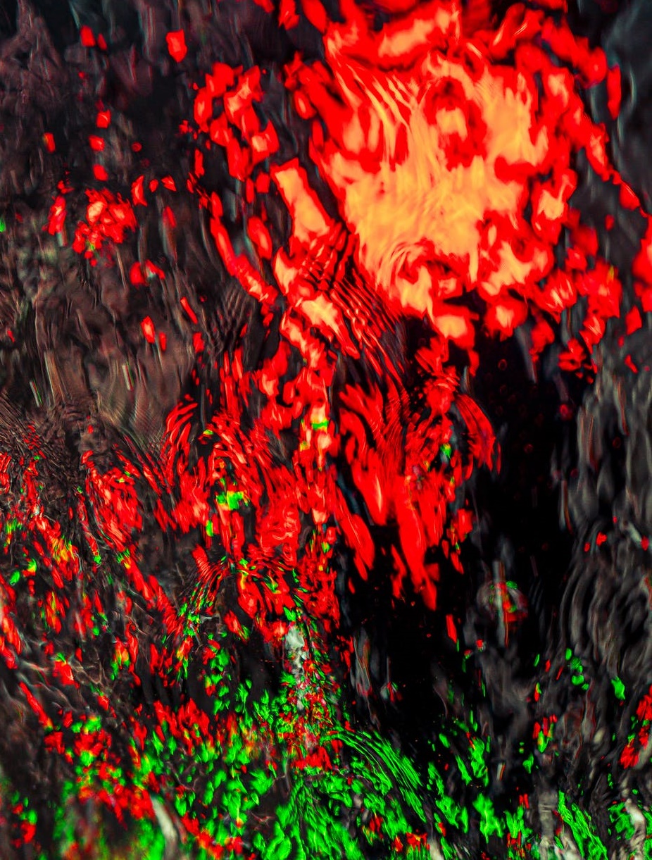 直擊上海車展 | 造車新舊勢力同場Battle，你為誰買單-鋒巢網