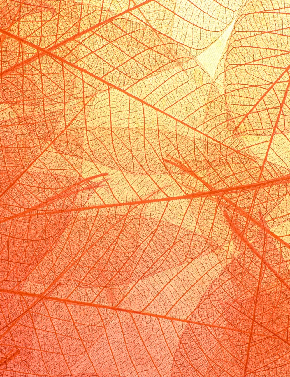 美團(tuán)冤嗎?-鋒巢網(wǎng)