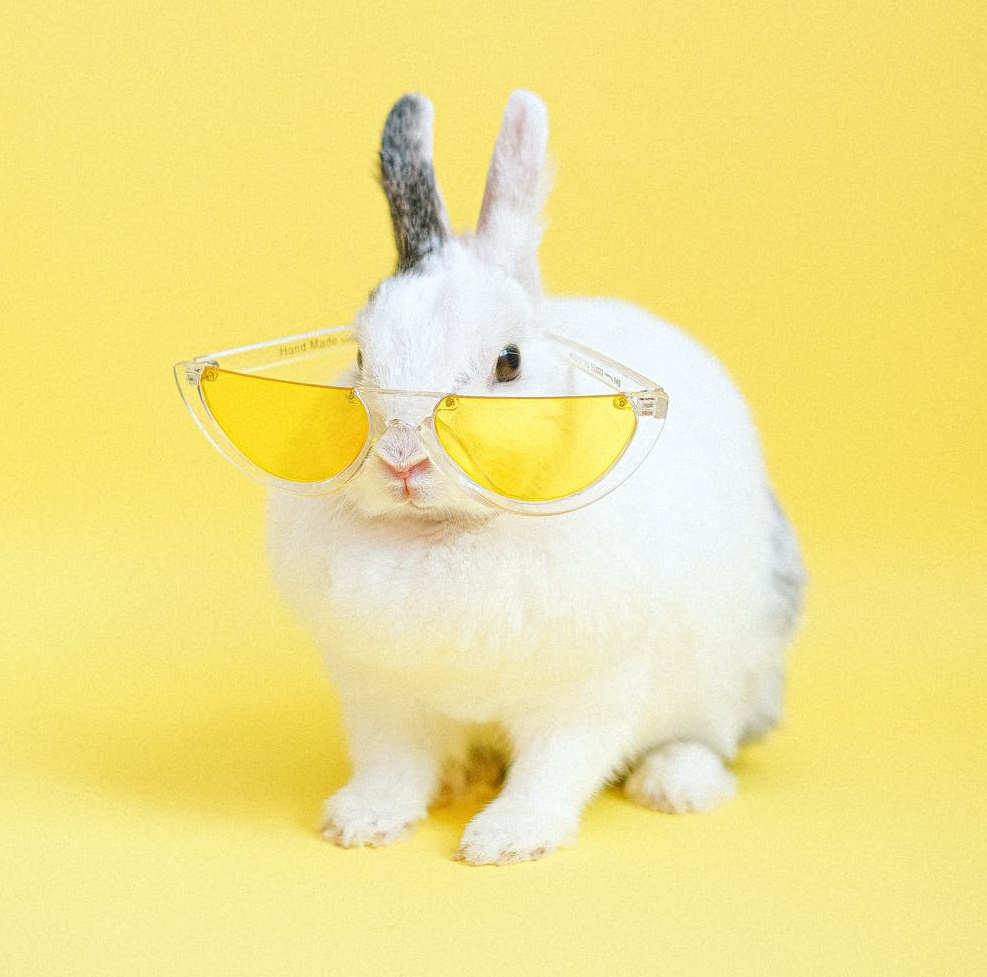 在直播間里找真愛？-鋒巢網(wǎng)