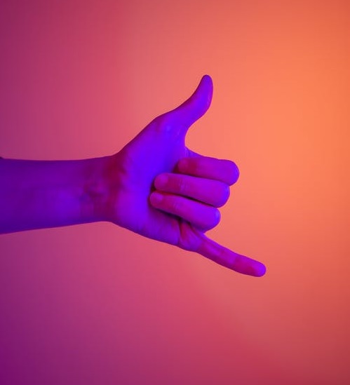 超級主播轉型記-鋒巢網(wǎng)