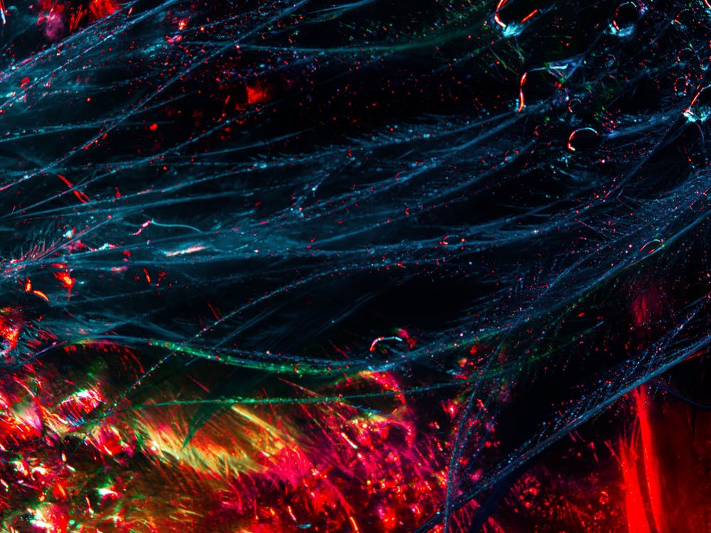 魔獸興衰,論壇浮沉-鋒巢網(wǎng)