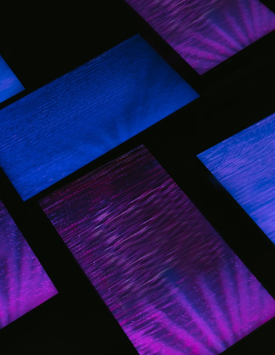 潮玩展的「局中人」-鋒巢網(wǎng)