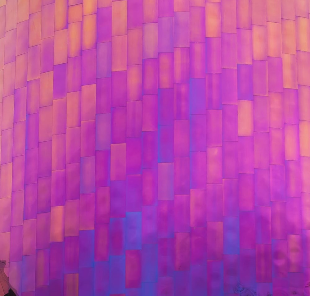 2億人在抖音圍觀“油膩學(xué)”-鋒巢網(wǎng)