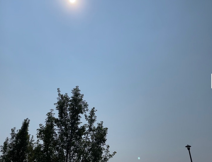 iOS 15可能會(huì)讓iPhone的攝像頭升級(jí):減少綠色閃光-鋒巢網(wǎng)