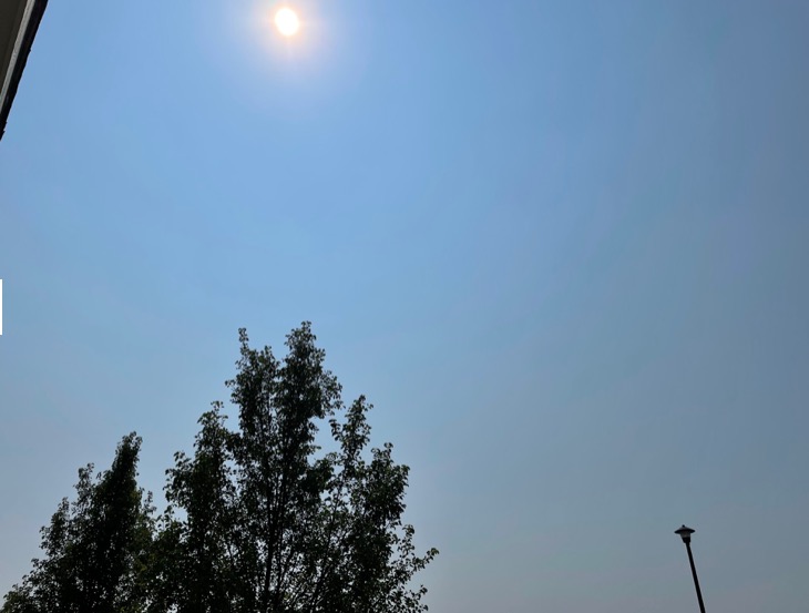 iOS 15可能會(huì)讓iPhone的攝像頭升級(jí):減少綠色閃光-鋒巢網(wǎng)