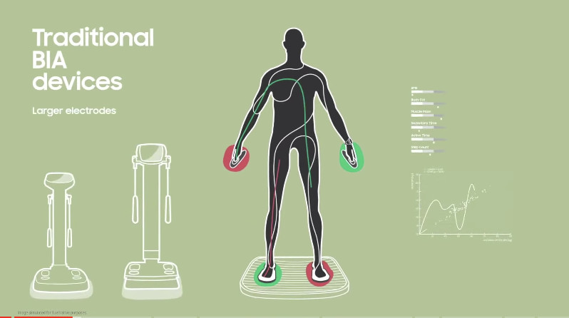 三星Galaxy Watch 4從手腕計算身體脂肪-鋒巢網(wǎng)
