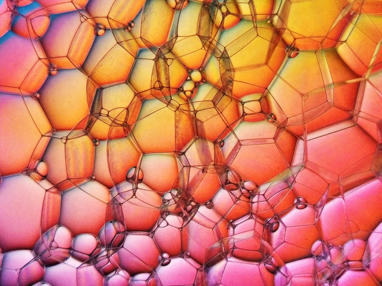 王興的社交夢(mèng)，飯小圈撐不起-鋒巢網(wǎng)