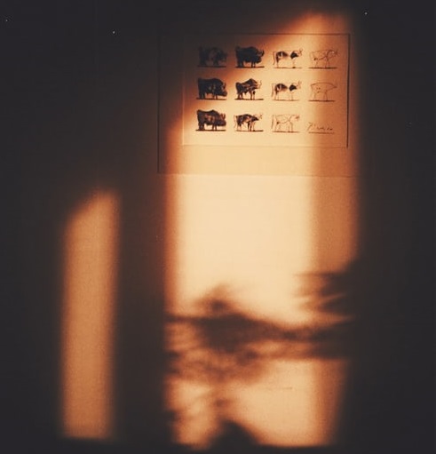 隱秘的明星資本圈-鋒巢網(wǎng)