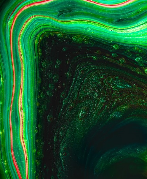 小米VS榮耀,“高端”對決-鋒巢網