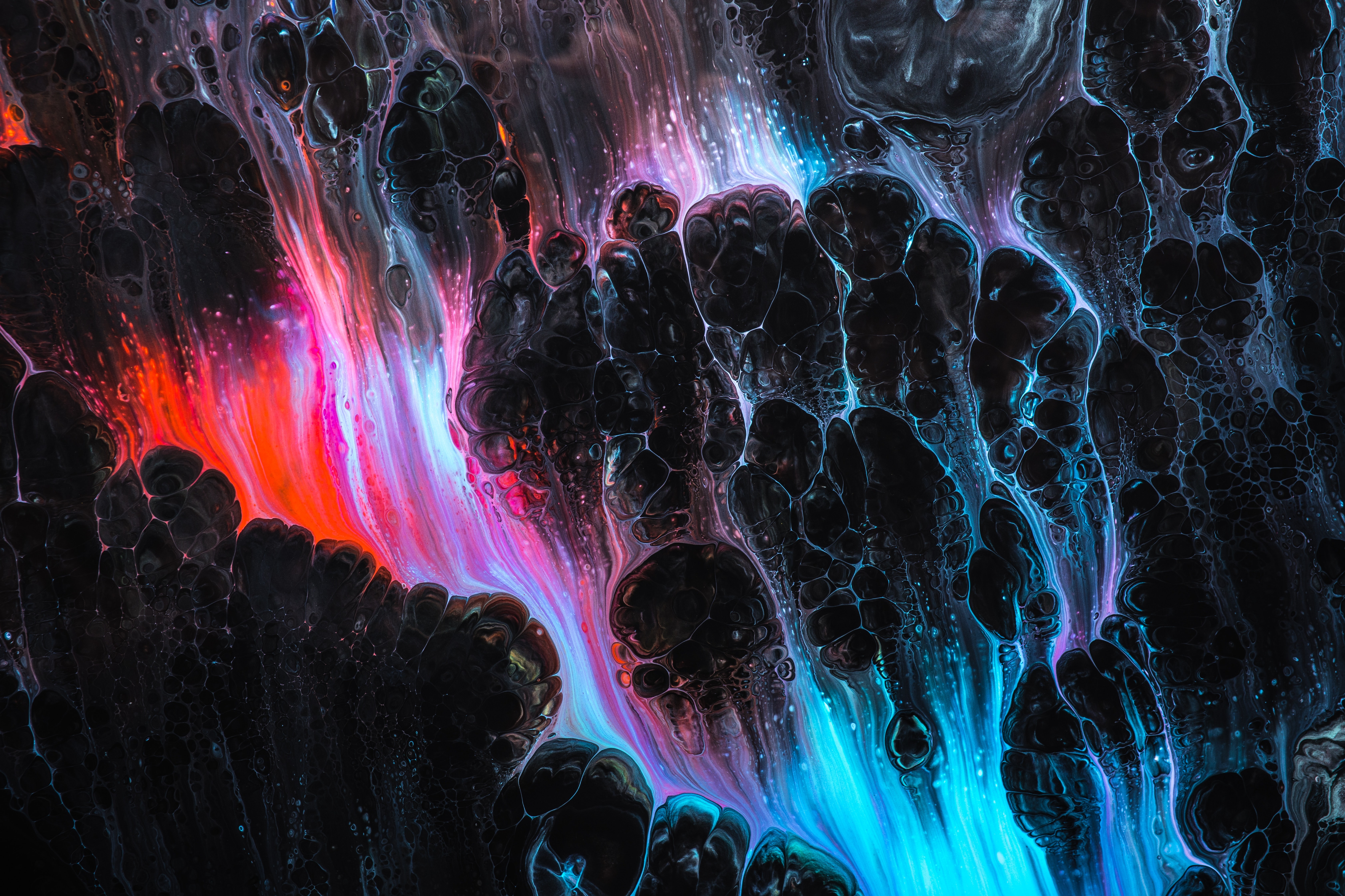 造車新勢力銷量出爐，哪家歡喜哪家愁？-鋒巢網(wǎng)