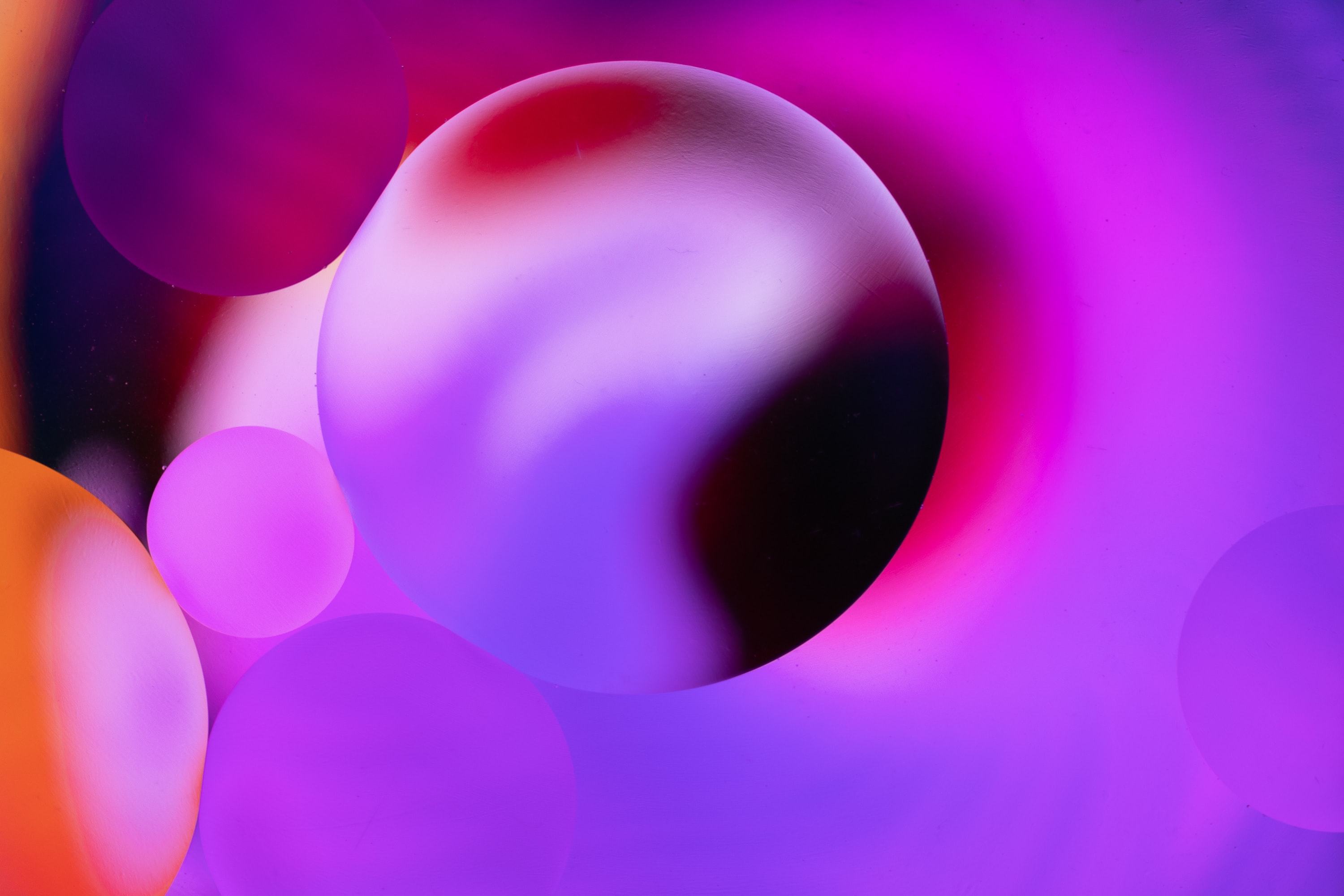 孟晚舟事件背后的華為-鋒巢網(wǎng)