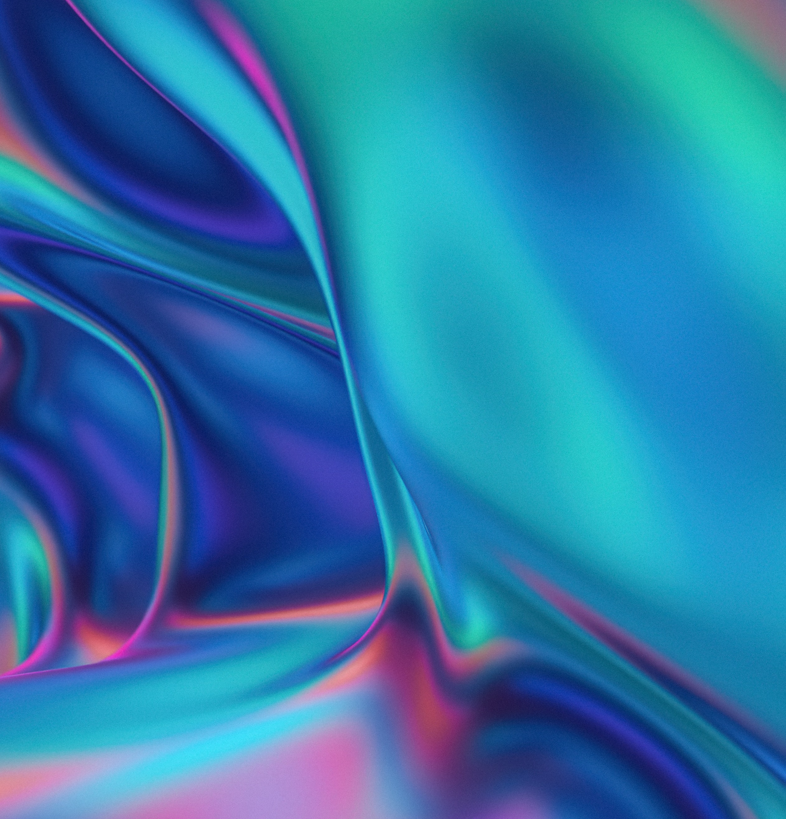 直播鏡頭下的雙十一-鋒巢網(wǎng)